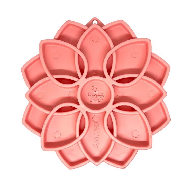 Bol Mandala souple - Soda Pup