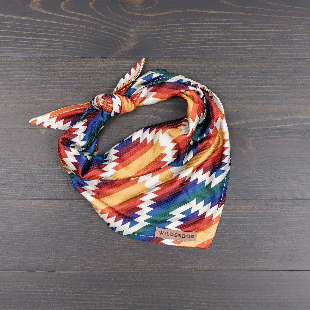 Bandana rafraîchissant - Wilder dog