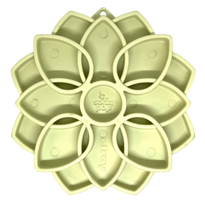 Bol Mandala souple - Soda Pup